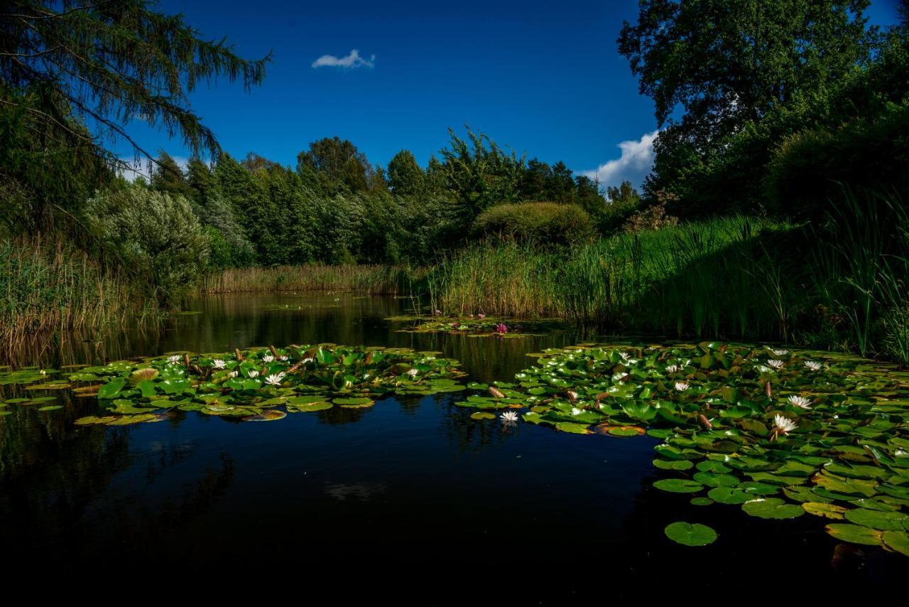 Villa Idilliska Latgaliesu Lauku Maja Ar Melno Pirti Aglona Exterior foto