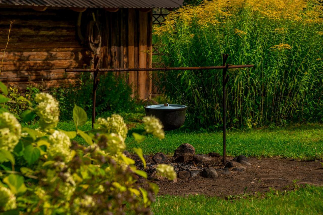 Villa Idilliska Latgaliesu Lauku Maja Ar Melno Pirti Aglona Exterior foto